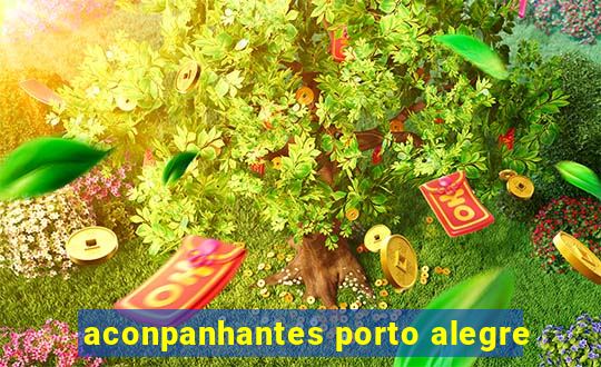 aconpanhantes porto alegre